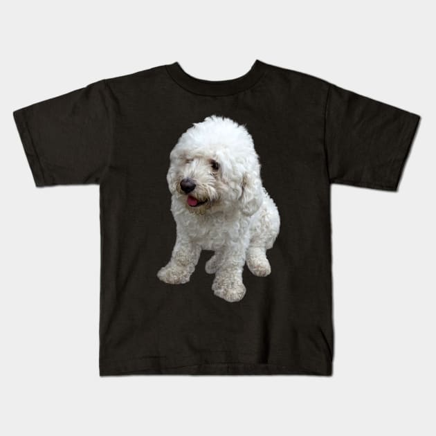 Maltipoo Puppy Kids T-Shirt by SusanSavad